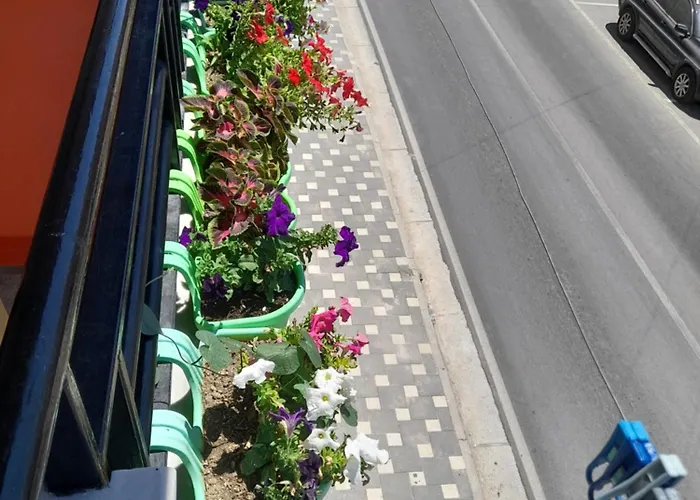 Alfonso Sea View